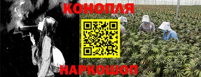 мдпв Камышлов
