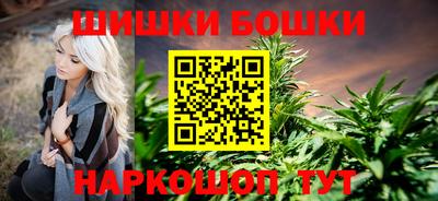 мдпв Камышлов