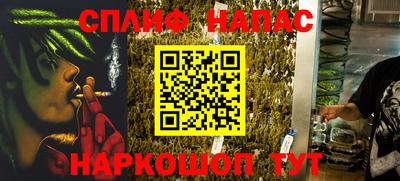 мдпв Камышлов