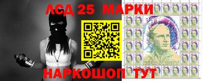 мдпв Камышлов