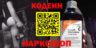 мдпв Камышлов