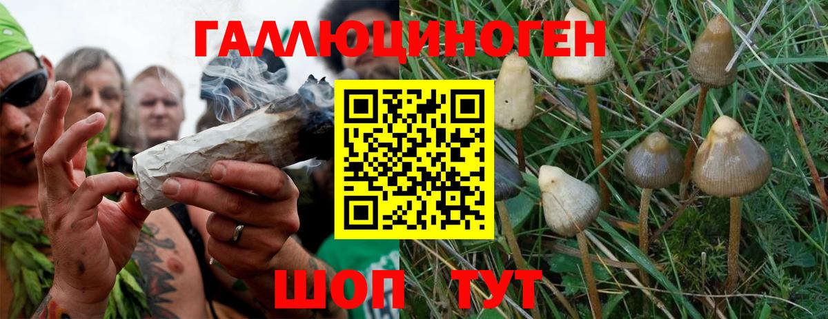 Псилоцибиновые грибы MAGIC MUSHROOMS  Галлюциногенные грибы мицелий  Вязники  Вход с VPN 